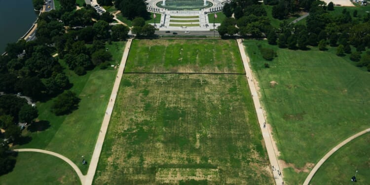 Portions of National Mall closed until January for turf, tree restoration