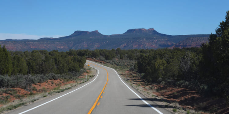 A two-lane road curves through desert landscape with trees on both sides, leading toward flat-topped mesas under a clear blue sky.