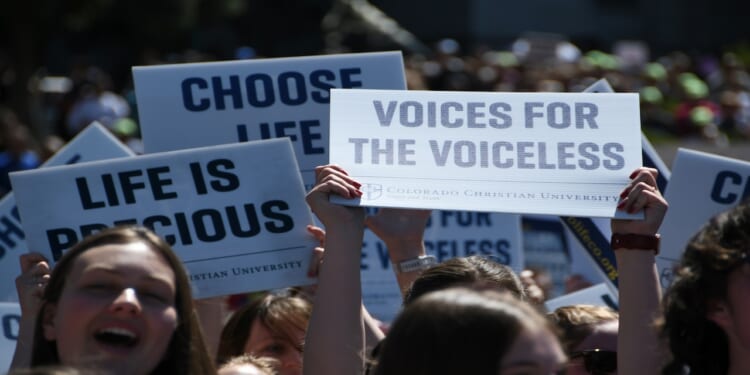 A crowd holds signs with messages like Voices for the Voiceless, Life is Precious, and Choose Life at a public demonstration, with people visible in the foreground.