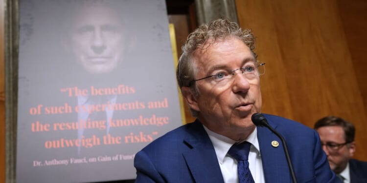 Sen. Rand Paul to refer Fauci aide for prosecution after Democrats block immunity deal