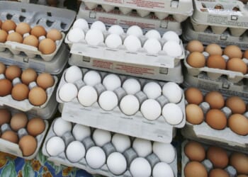 The surprising truth about brown vs. white eggs: Why color really doesn't matter