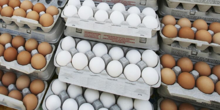 The surprising truth about brown vs. white eggs: Why color really doesn't matter
