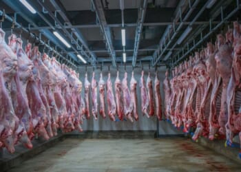Department of Agriculture’s Food Safety and Inspection Service did not offer details about how meat with a fake inspection number was distributed.