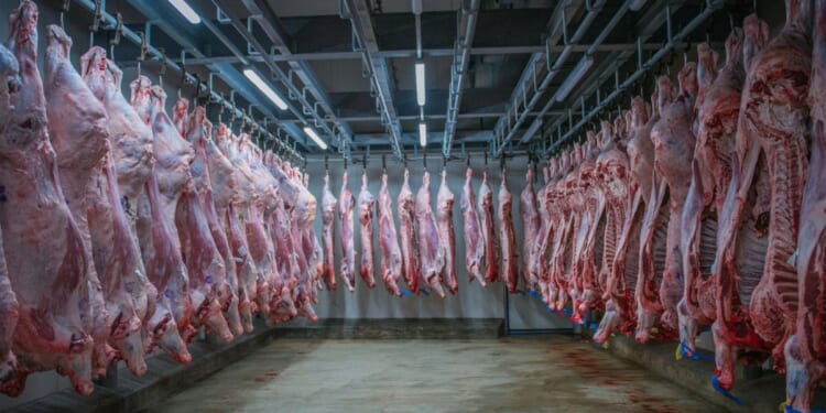 Department of Agriculture’s Food Safety and Inspection Service did not offer details about how meat with a fake inspection number was distributed.