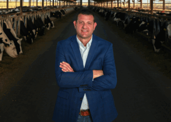 A man in a blue blazer stands with arms crossed in the center of a large barn lined with black and white cows eating from troughs on both sides.