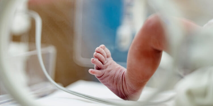 Close-up of a newborn baby’s foot inside an incubator, with medical tubes visible in the blurred foreground. The baby’s toes are curled, highlighting the fragility and care required in a hospital or neonatal unit—a poignant reminder of the complex decisions surrounding birth and abortion.