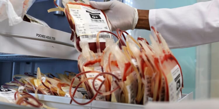 West African scientists warn of weakening health systems and urge stronger outbreak detection