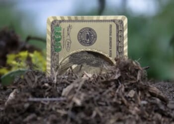 For almost two years, every dollar you send can actually hit the debt.