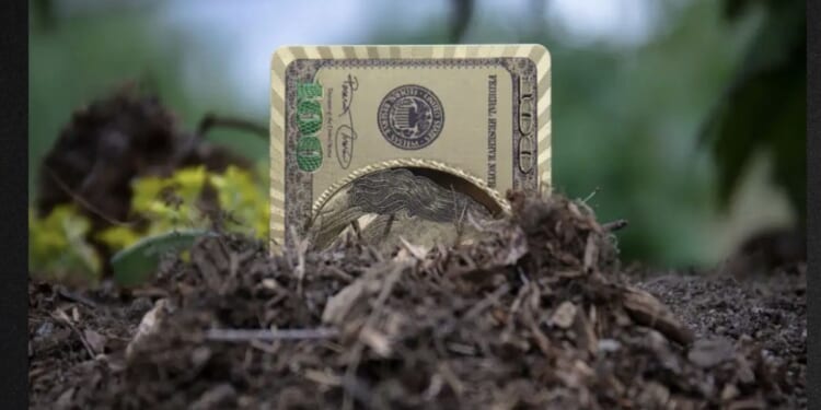 For almost two years, every dollar you send can actually hit the debt.
