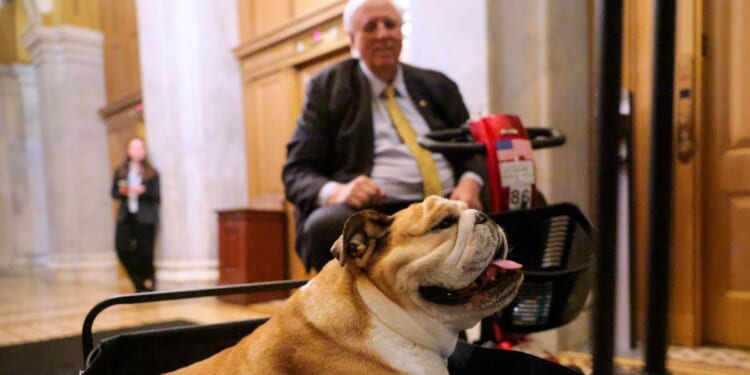 Sen. Jim Justice moves through the hallway with his English bulldog, Babydog, after going to the Senate Chambers to vote in the U.S. Capitol on Feb. 27, 2025, in Washington, D.C.